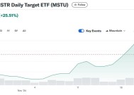 “比特币影子股”MSTR有多火？基金经理高呼是“不同的怪兽”，ETF被限制掉期交易