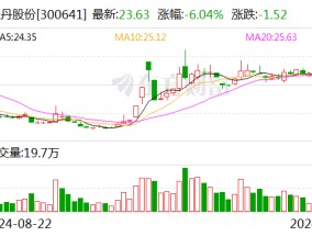 正丹股份：终止2024年度向特定对象发行股票事项